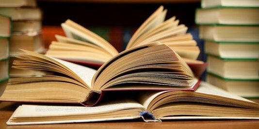 biblioteca_foto-Abee5_recorte-600×267